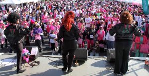 The Bouffants at Race for the Cure, Memphis